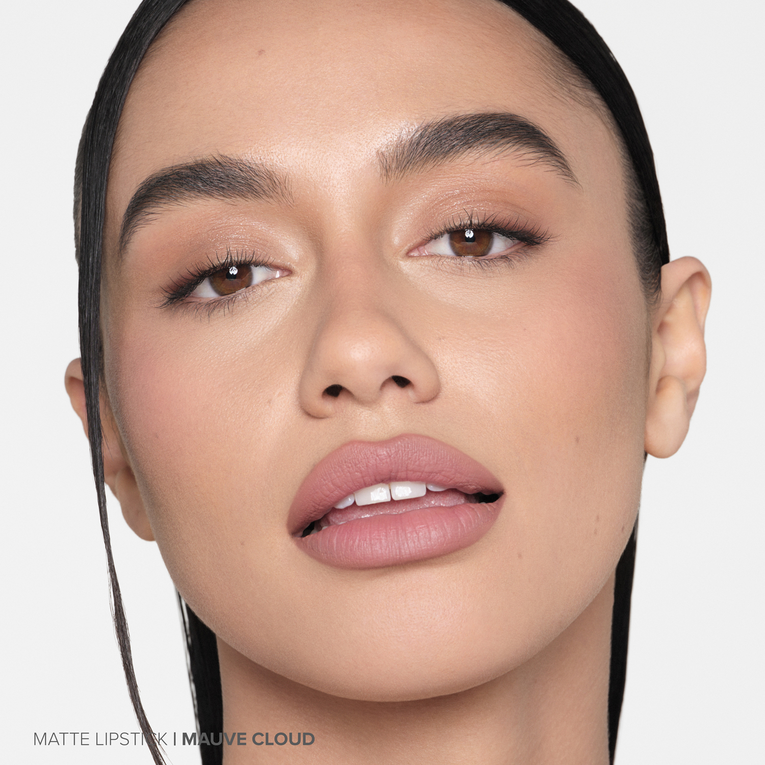 MATTE VELVET LIPSTICKS (LABIAL MATE)